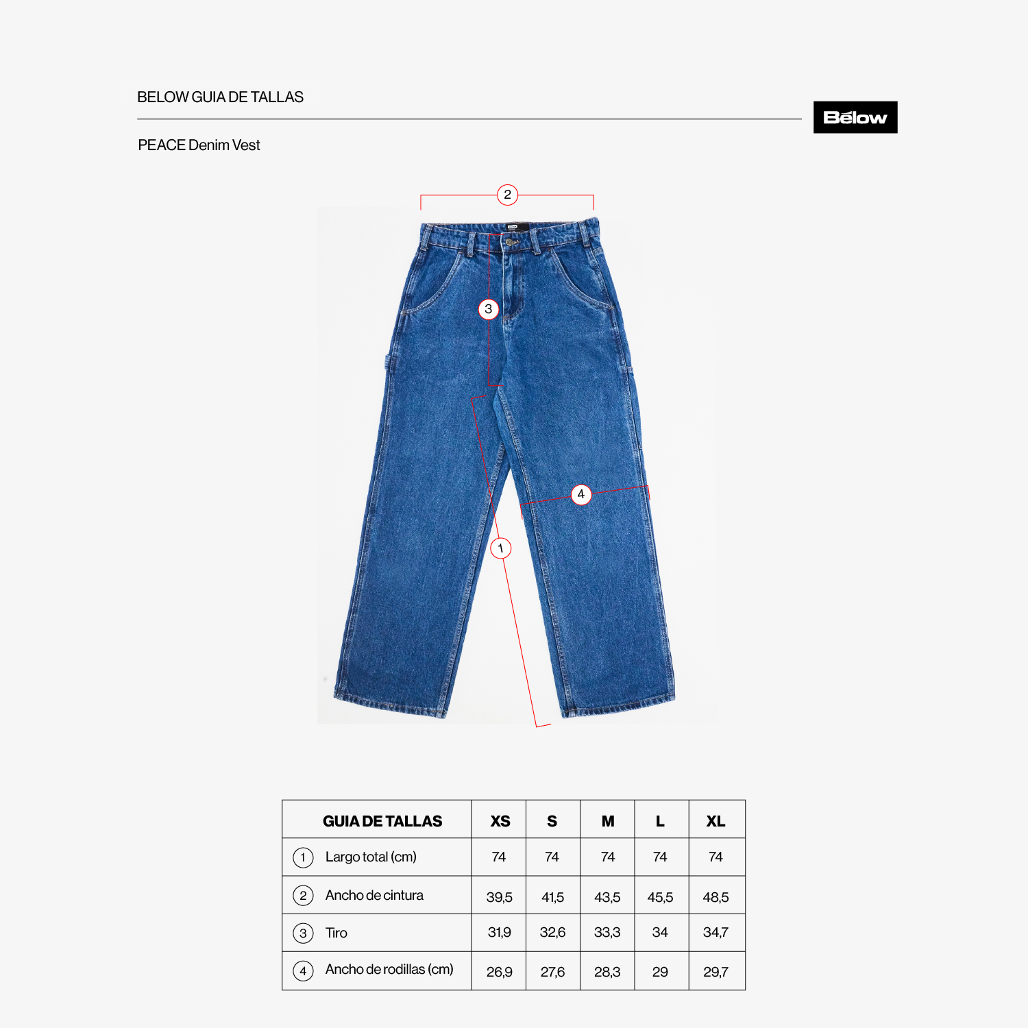DENIM CARPENTER PANT MARTEU BLUE